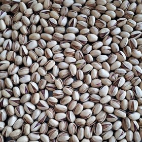 پسته کله قوچی اعلا + انتخابی ممتاز برای آجیل های لوکس + قیمت و خرید عمده